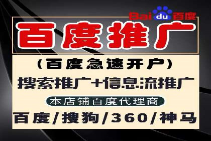 SEM推广案例：打造高效广告投放方案